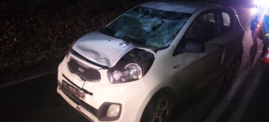 PODKARPACIE: Potrącenie na łuku drogi. Zginął 45-letni mężczyzna (ZDJĘCIA)