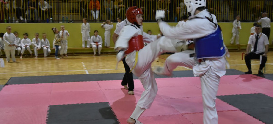 Mikołajkowy Turniej Karate w Niebieszczanach (ZDJĘCIA)