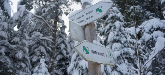 BIESZCZADY: Bardzo trudne warunki na szlakach (ZDJĘCIA)