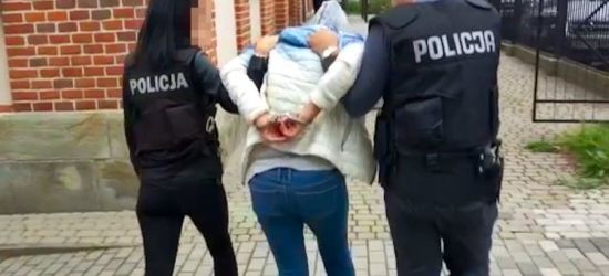 Handlowali środkami poronnymi w Internecie. Wpadli w ręce policji (FILM, ZDJĘCIA)