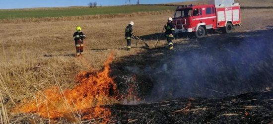 KRONIKA STRAŻACKA: Ponad 20 pożarów traw i zabezpieczenie prac saperskich