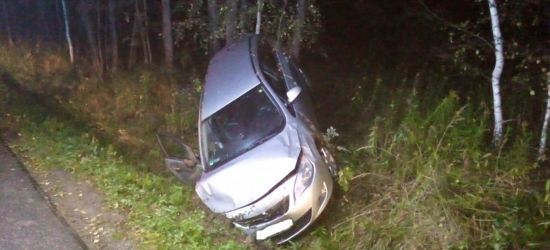 Nietrzeźwy kierowca opla wjechał do rowu