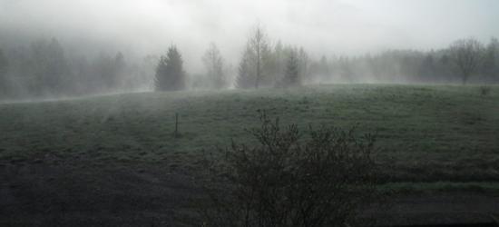 ,,Ukryte we mgle” oraz ,,Drzwi do tajemnicy” wyróżnione w konkursie fotograficznym (ZDJĘCIA)