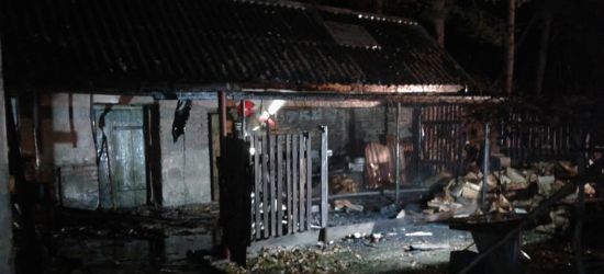 Pożar budynku tuż przy drodze wojewódzkiej. 9 zastępów straży (ZDJĘCIA)