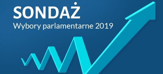 Miażdżąca przewaga PiS na Podkarpaciu. Kto jeszcze w Sejmie? (SONDAŻ)