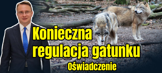 Odstrzał, odłowienie? Poseł Piotr Uruski interweniuje w Sejmie (VIDEO)