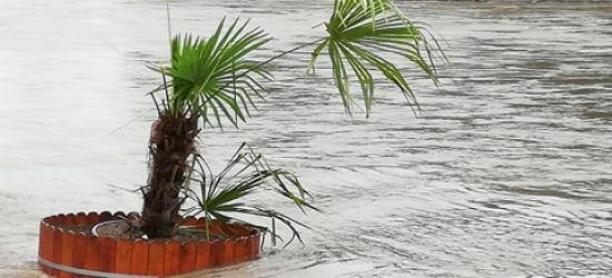 Palma przetrwała noc. Dzielnie walczy z wodą (VIDEO, FOTO)
