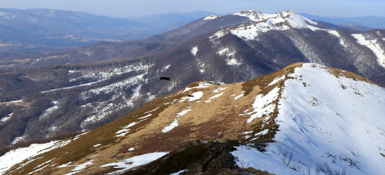 BIESZCZADY: Na pograniczu zimy i wiosny (ZDJĘCIA)