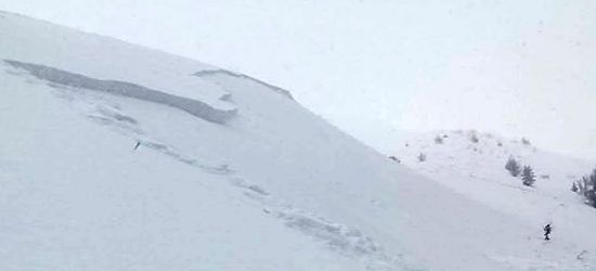 BIESZCZADY: Z Połoniny Caryńskiej zeszła lawina! (ZDJĘCIA)