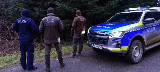Choinka tylko z legalnego źródła. Ruszyła akcja Straży Leśnej
