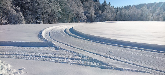 BIESZCZADY: Leśne trasy narciarskie z certyfikatem FIS