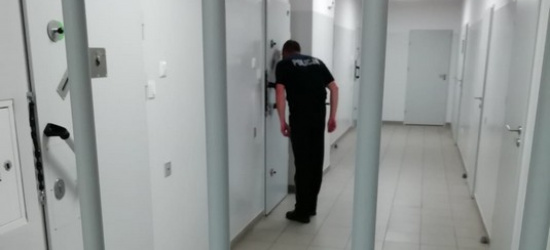 PODKARPACIE. 17-latek uprawiał marihuanę nieopodal Sanu. Odpowie przed sądem