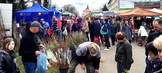 BOGUCHWAŁA. Tłumy na Wielkanocnym Podkarpackim Bazarku! (ZOBACZ ZDJĘCIA)