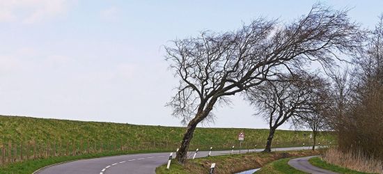 Ciąg dalszy wichur w regionie!