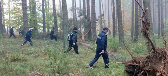 WOLA SĘKOWA: Szczęśliwie zakończone poszukiwania mężczyzny, który zgubił się w lesie