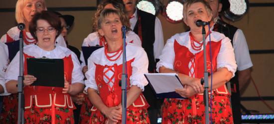 Rozśpiewany Zagórz po raz piętnasty. Wszystko za sprawą kapeli ludowych (ZDJĘCIA)