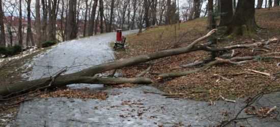 POWIAT SANOCKI: Silny wiatr. Ostrzeżenie 2 stopnia!