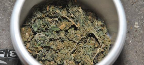 Amfetamina, extasy i marihuana. 22-latek wpadł podczas kontroli (FOTO)