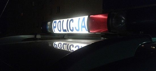 REGION: Pijani poszli na spacer… ze znakiem drogowym