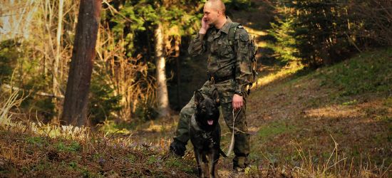 Wyprawa Turka na zachód skończyła się w Bieszczadach