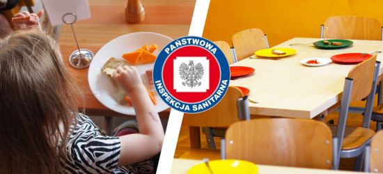 KOMUNIKAT SANEPIDU: Znamy źródło zakażenia salmonellą
