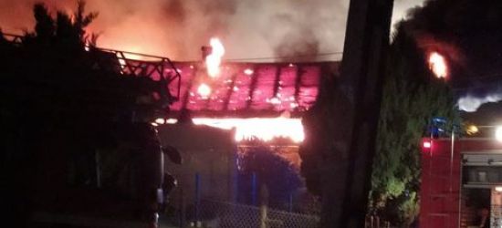 Pożar drewnianego domu. Trzy osoby w środku (VIDEO, FOTO)