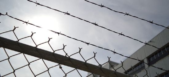 Właściciel agresywnych psów aresztowany na trzy miesiące
