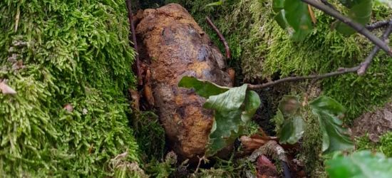 BIESZCZADY: Rodzina z dziećmi natknęła się na granat