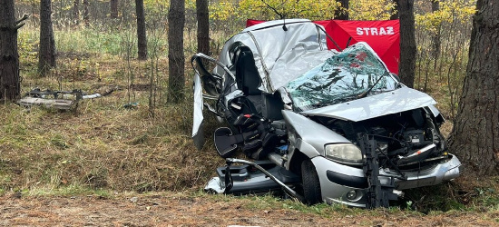 Tragiczna śmierć 19-latki. Citroen uderzył w drzewo (FOTO)