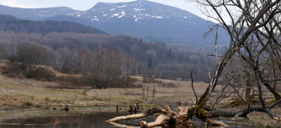 BIESZCZADY: Wiosna nadeszła wyjątkowo szybko (FOTO)