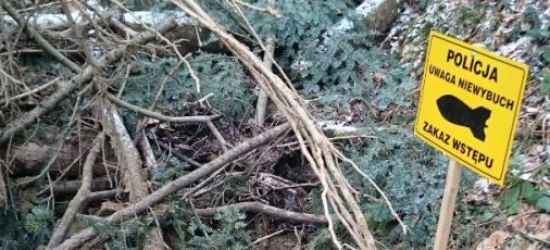 Niewybuch z czasów II wojny światowej znaleziony w lesie