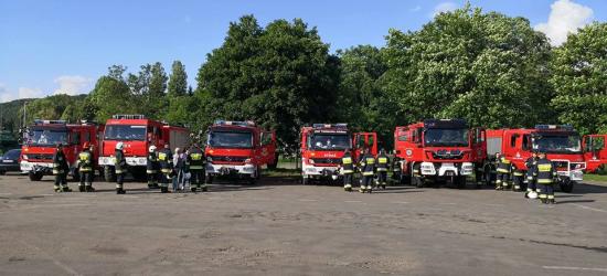 KRONIKA STRAŻACKA: Pożar osobówki, żmija na posesji i plaga szerszeni