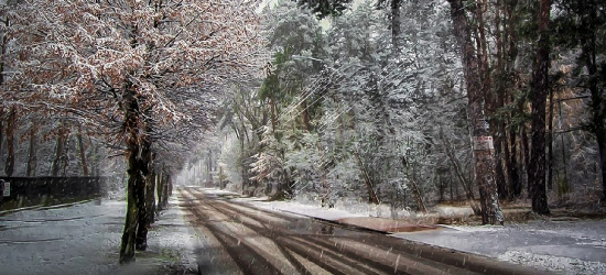 Zamiecie śnieżne i wiatr w porywach do 80 km/h! Ostrzeżenie meteo