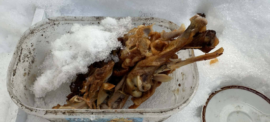„Kulinarna stołówka” w Brzozowie – DOŚĆ! Stanowczy apel o odpowiedzialność