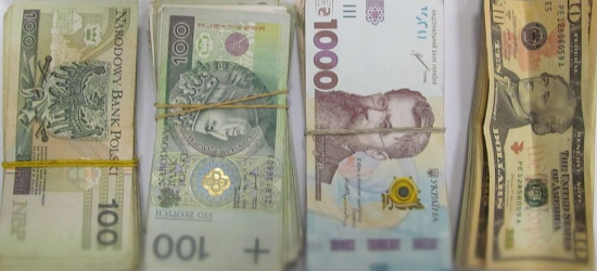 GRANICA: Gotówka nie została zgłoszona do kontroli