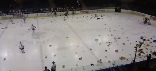 SANOK: Teddy Bear Toss. Miśki na Arenie! (VIDEO)