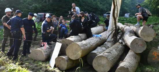 NADLEŚNICTWO BIRCZA: Wszyscy odczujemy skutku okupacji lasu. POSŁANKA NOWEJ LEWICY: Macki korporacji sięgają wszędzie