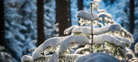 SANOK. Powrót zimy? W nocy może spaść nawet 20 cm śniegu!