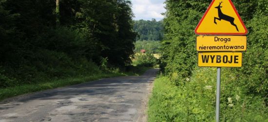 Te drogi zyskają szansę na remont. Zarząd powiatu zdecydował (ZDJĘCIA)