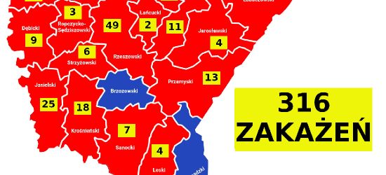 NOWY RAPORT. 3 zakażenia na Podkarpaciu. 7 ozdrowieńców. AKTUALNA MAPA