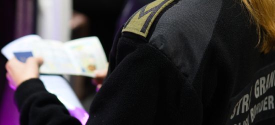 Rekordowa liczba fałszywych dokumentów