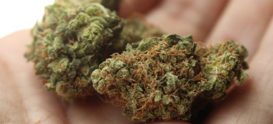 PODKARPACIE. Marihuana i mefedron w saszetce 18-latka