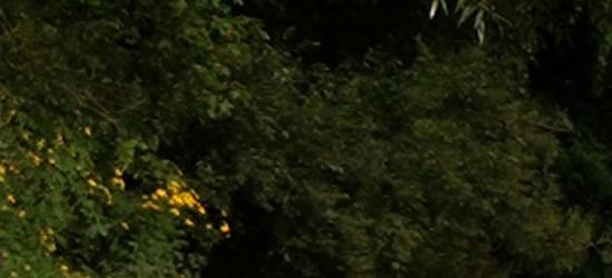 SANOK: Miasto sprzedaje działki budowlane