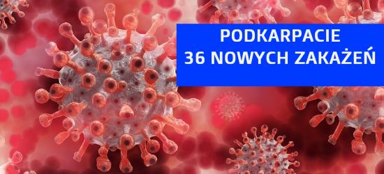 36 nowych zakażeń na Podkarpaciu