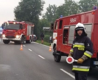 KRONIKA STRAŻACKA: Pożary, wysyp gniazd szerszeni oraz interwencje drogowe