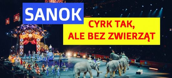 „Wywieśmy baner. Tradycyjna polska rodzina chodzi do cyrku”! (VIDEO)
