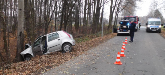 Puntem wjechała w drzewo. 43-latka trafiła do szpitala (FOTO)