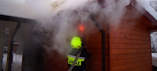Pożar domku letniskowego, w którym znajdowała się sauna (VIDEO)