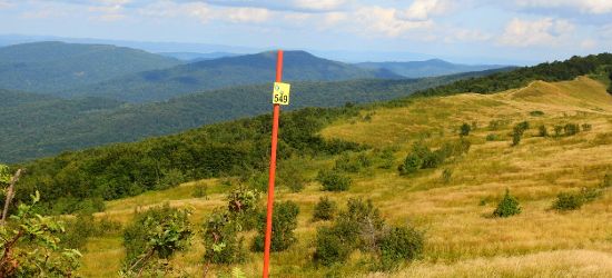 BIESZCZADY: Niszczą tabliczki na szlakach. One mogą nas uratować!