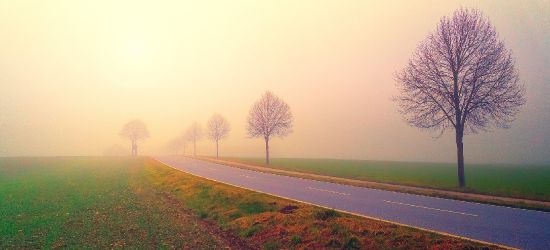 OSTRZEŻENIE METEO: Uwaga na gęste mgły